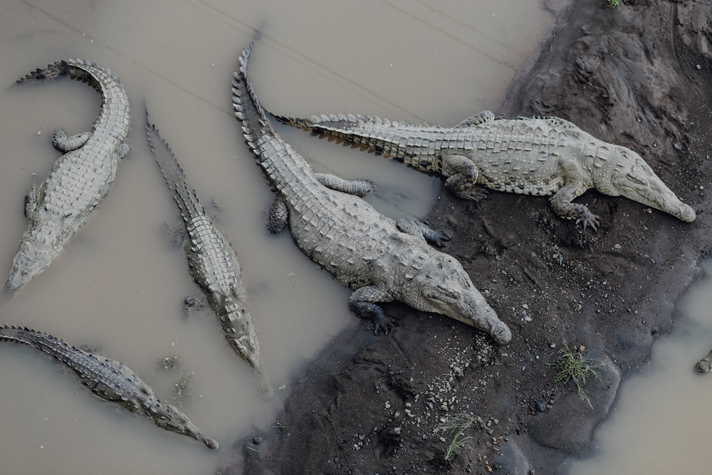 Costa Rica Reiseguide