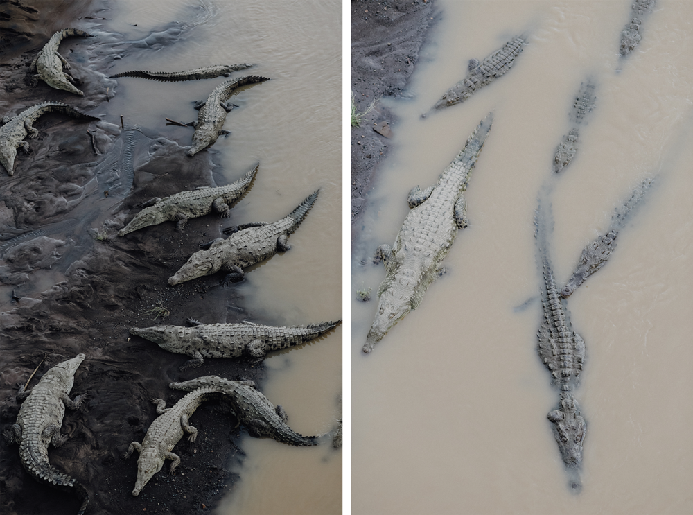 Costa Rica Reiseblog