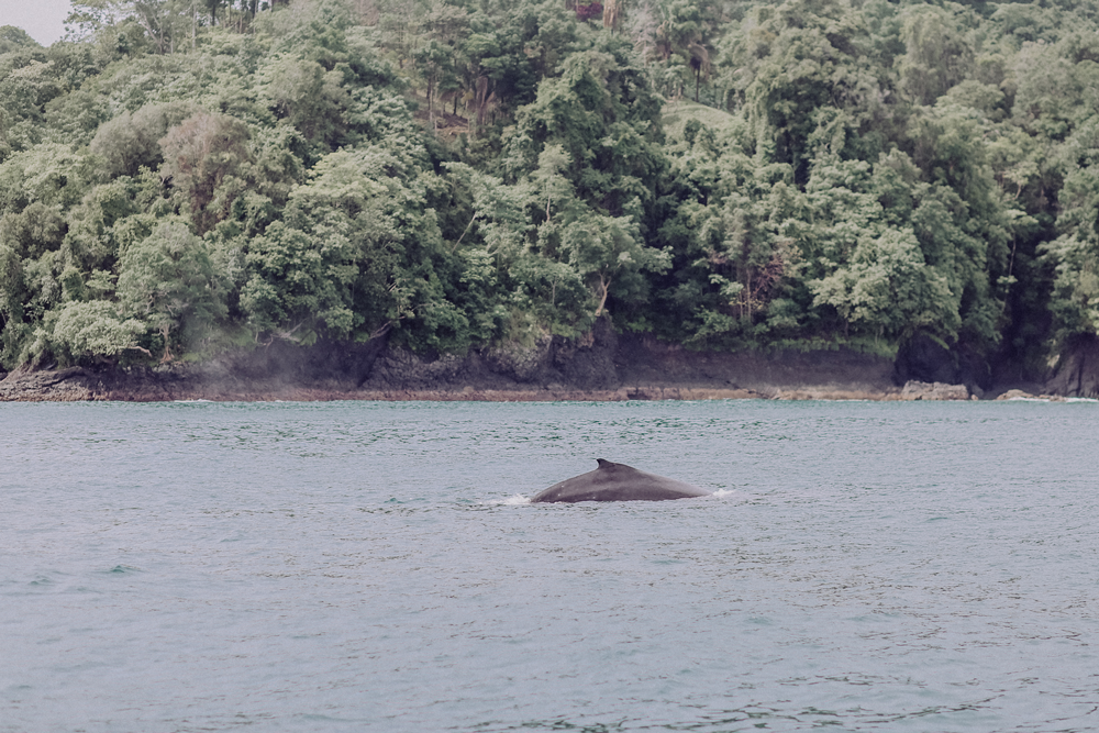 Costa Rica Reiseblog