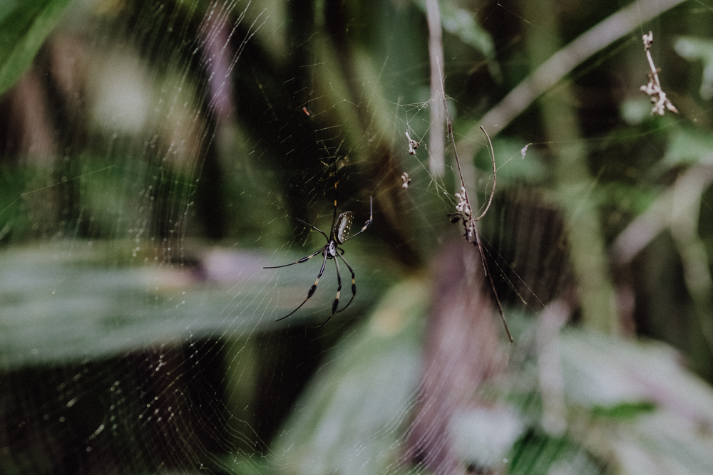 Costa Rica Reiseblog