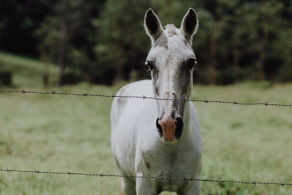 Costa Rica Reise-Route