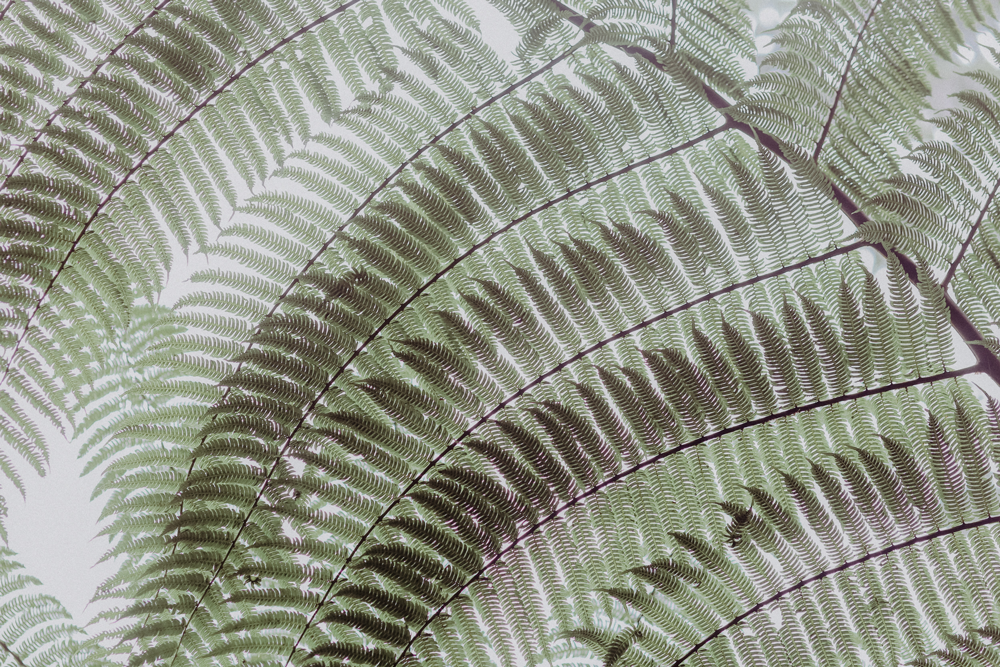 Costa Rica Reise-Route