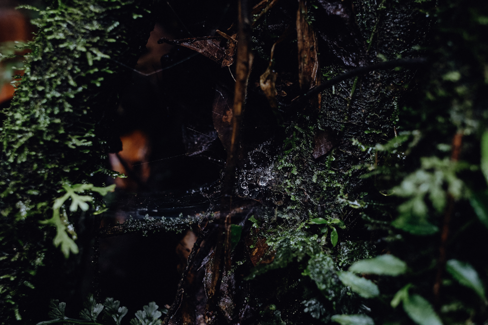 Costa Rica Reise-Route