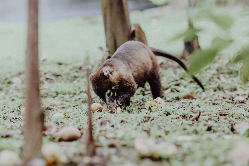 Costa Rica Reise-Route