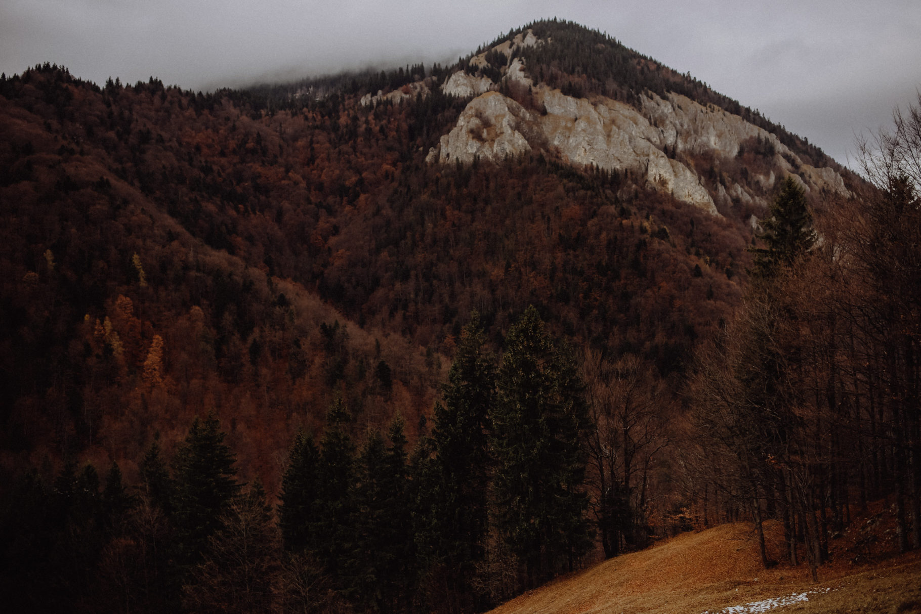 Rumänien Sehenswürdigkeiten Zarnesti Magura