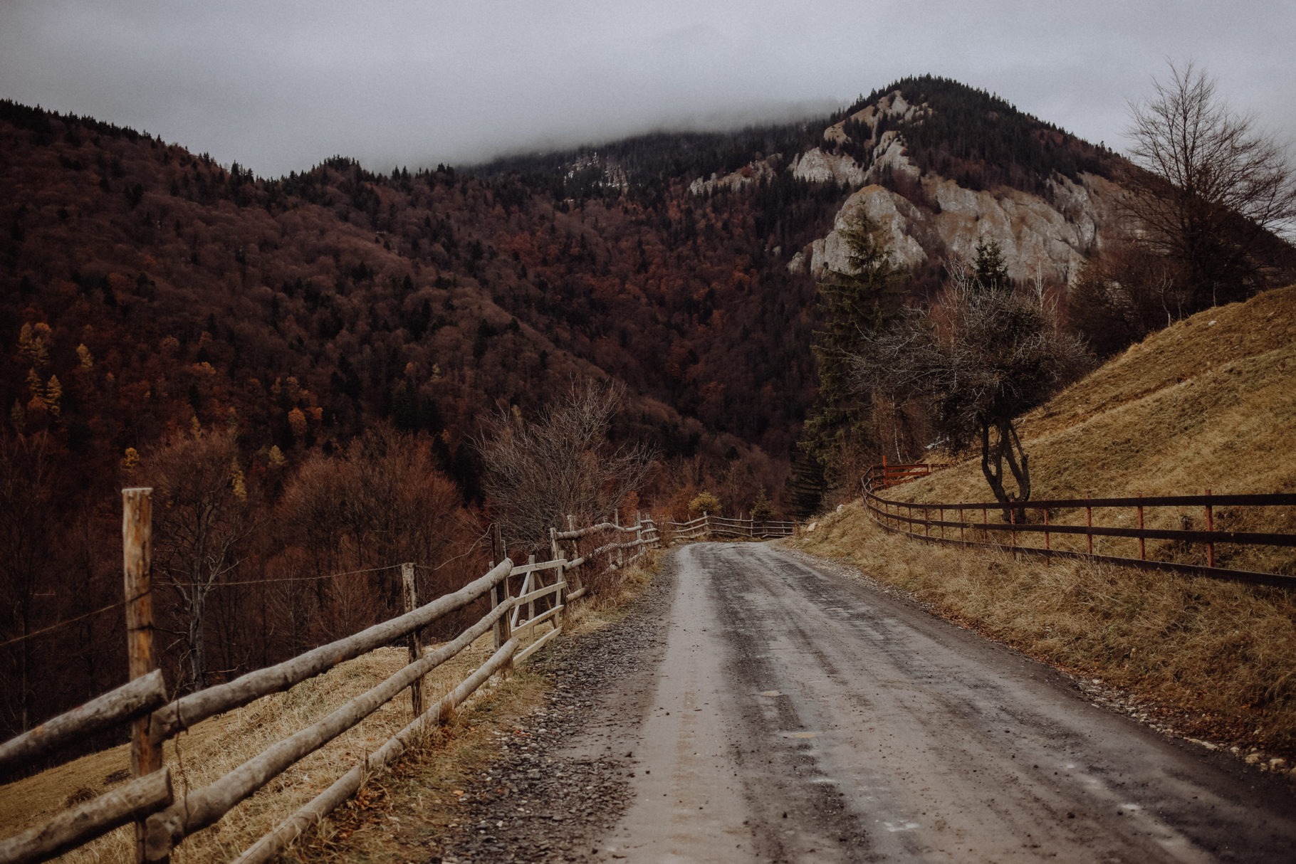 Rumänien Sehenswürdigkeiten Zarnesti Magura
