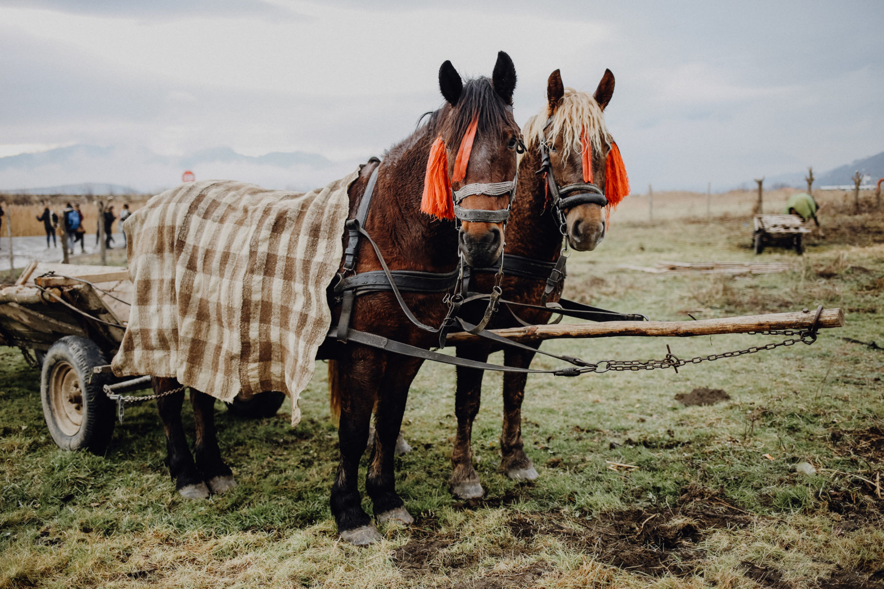 Rumänien Sehenswürdigkeiten Zarnesti Magura