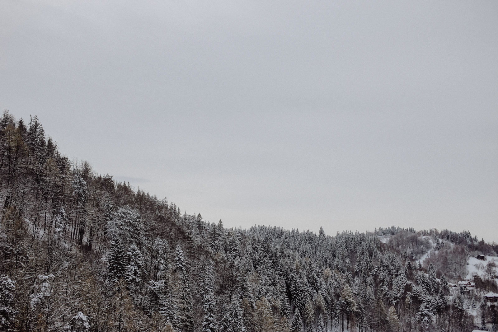 Brasov Rumänien Schloss Bran