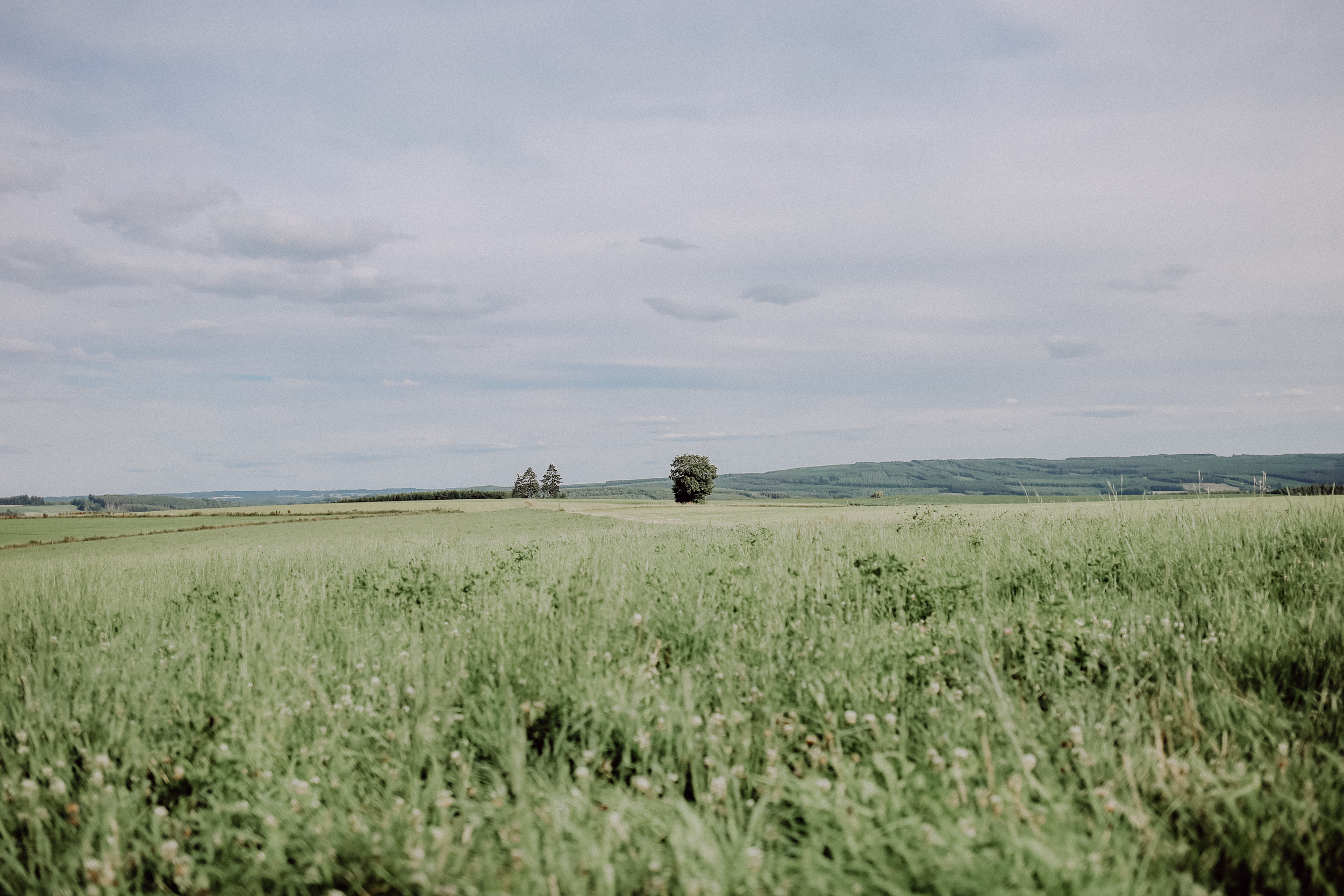 Belgien Urlaub Roadtrip Camper