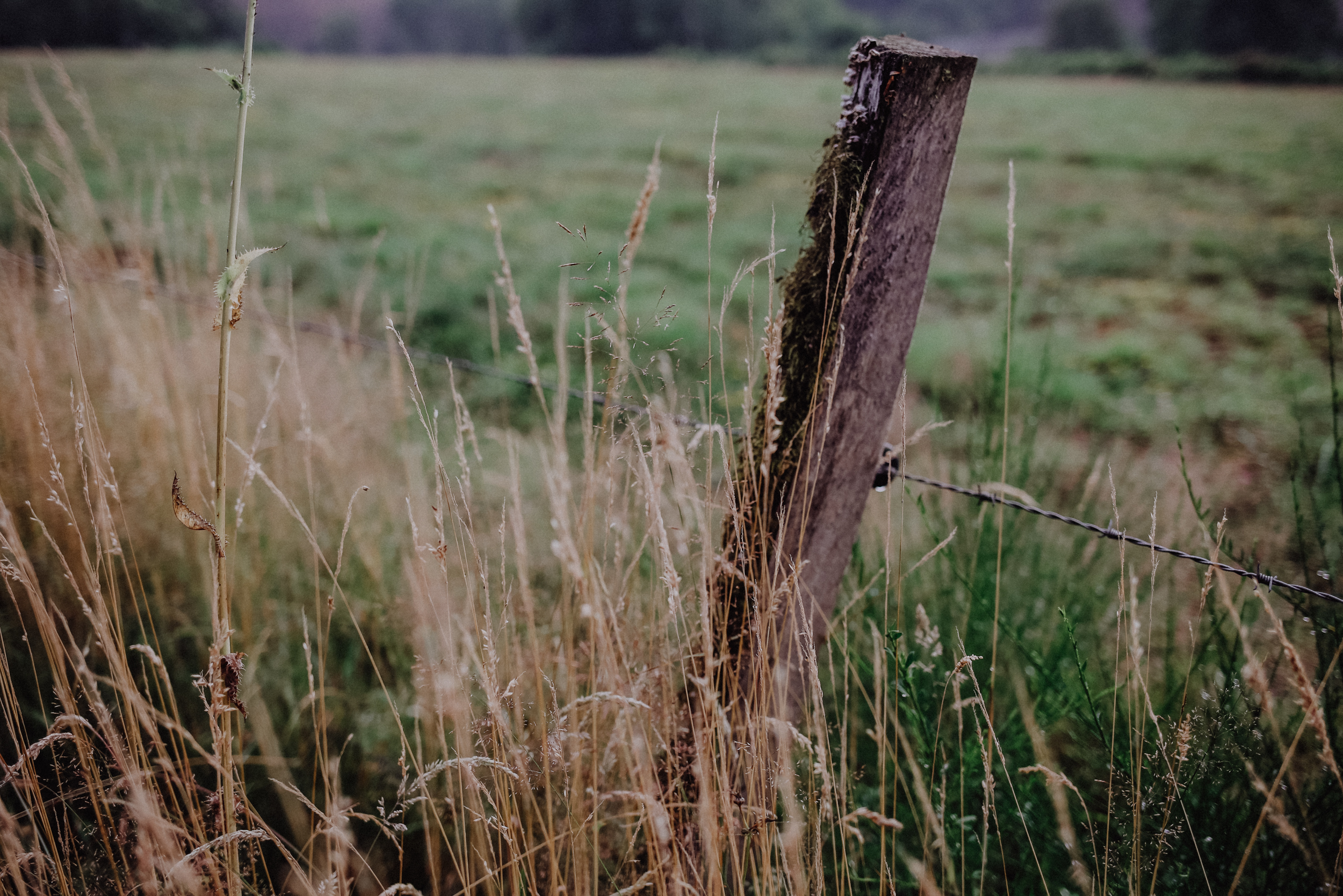 Belgien Urlaub Roadtrip Camper
