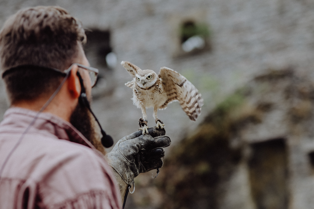 Belgien Urlaub Abtei von Orval