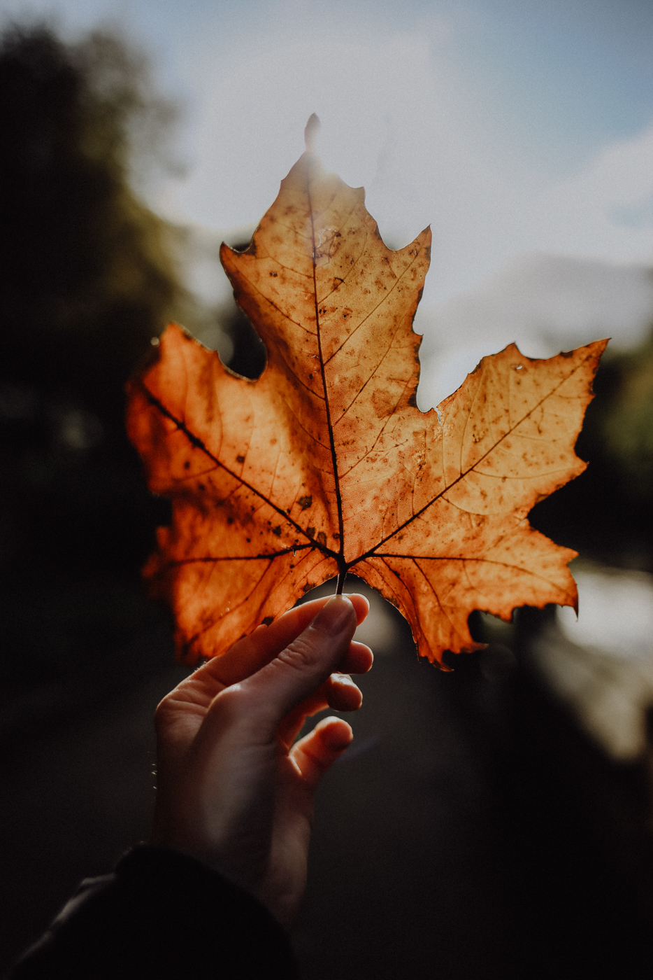 Edinburgh Sehenswürdigkeiten Dean Village