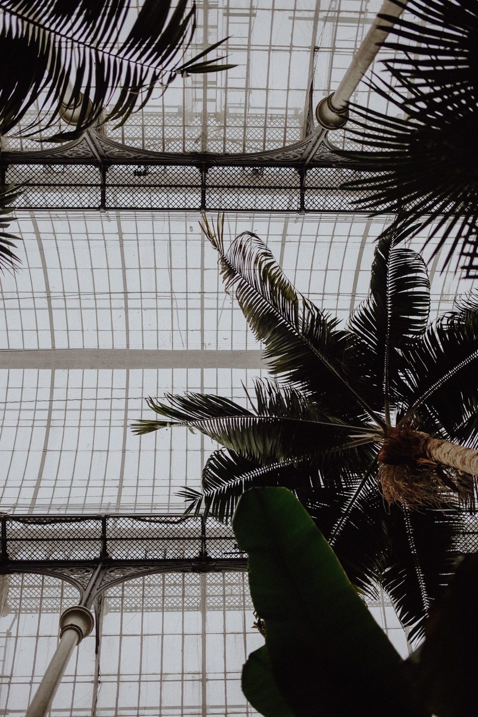 Edinburgh bei Regen Sehenswürdigkeiten The Royal Botanical Gardens