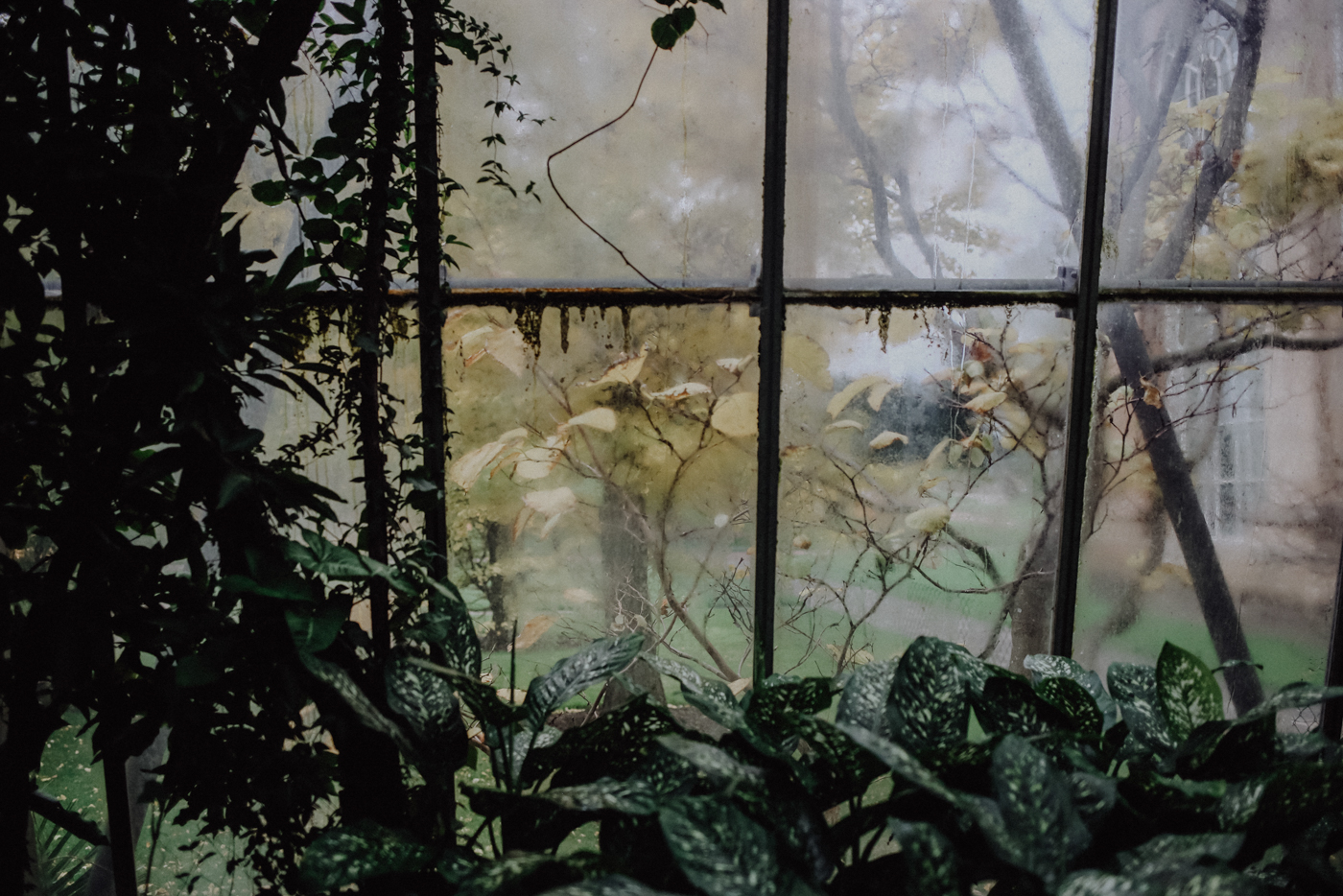 Edinburgh bei Regen Sehenswürdigkeiten The Royal Botanical Gardens