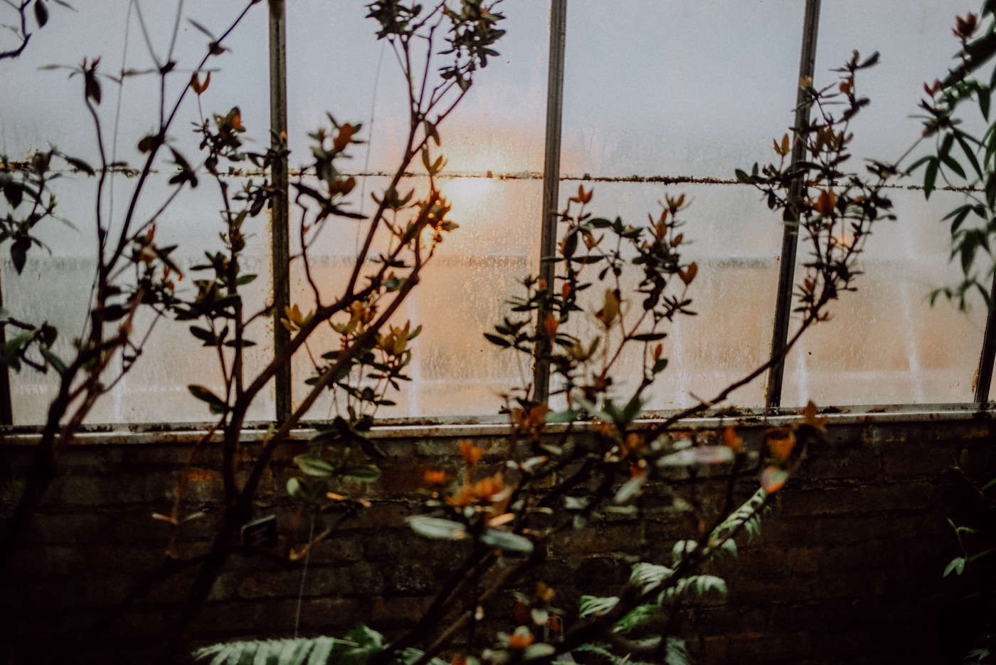 Edinburgh Sehenswürdigkeiten The Royal Botanical Gardens