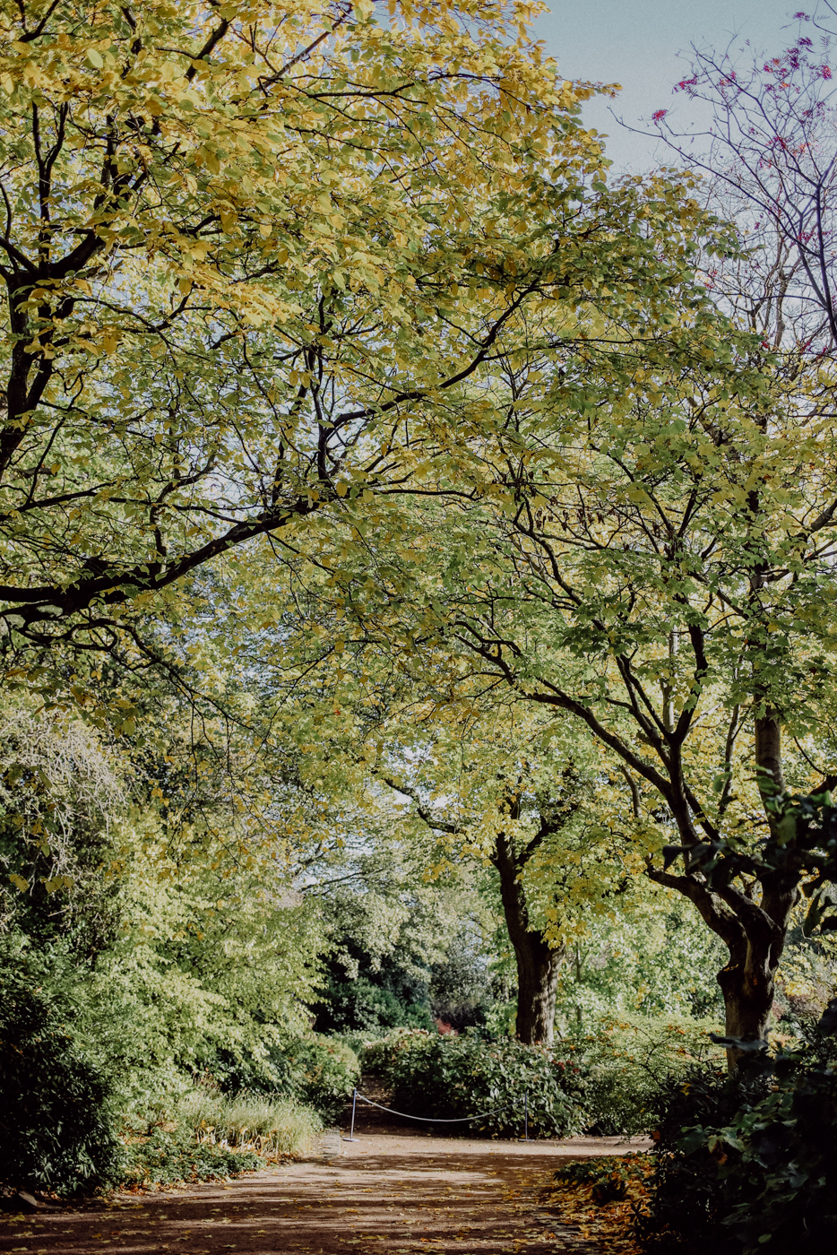 Edinburgh Sehenswürdigkeiten Holyrood Palace