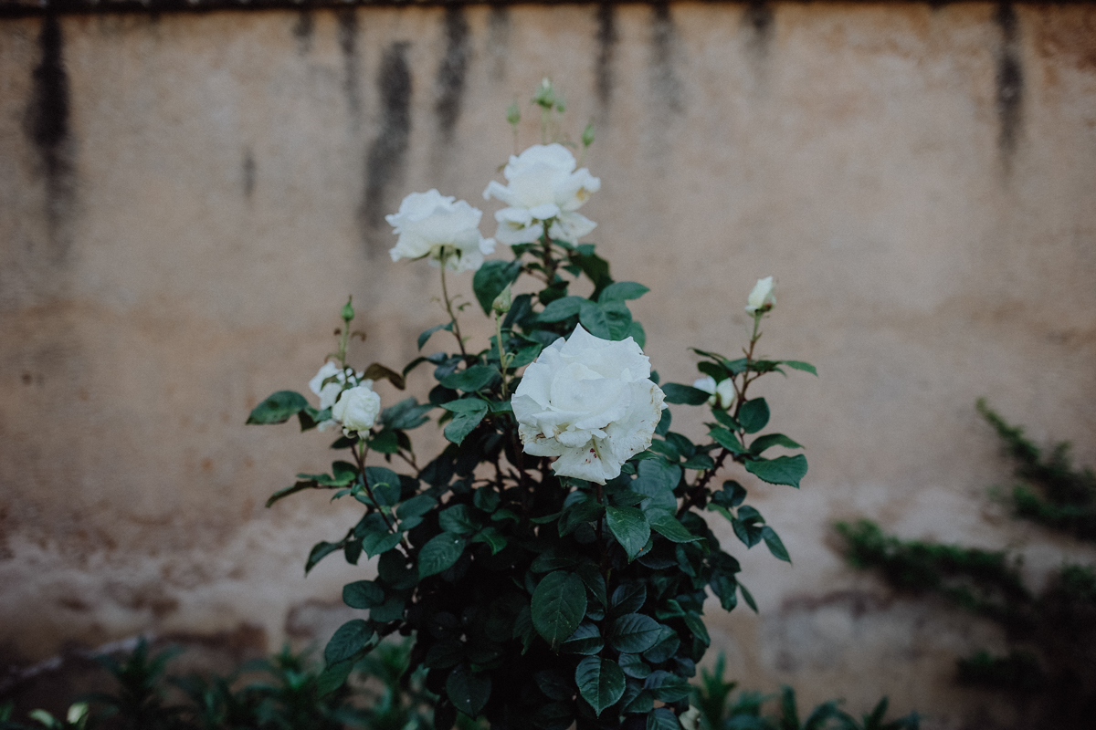 Granada Reisetipps Alhambra