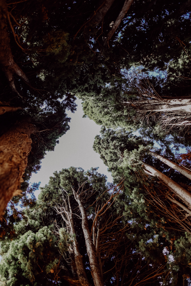 Granada Reisetipps Alhambra