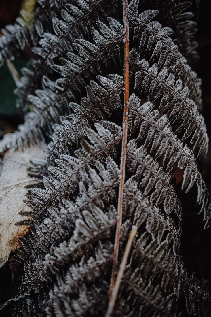 Wandern Erzgebirge Schwarzwassertal