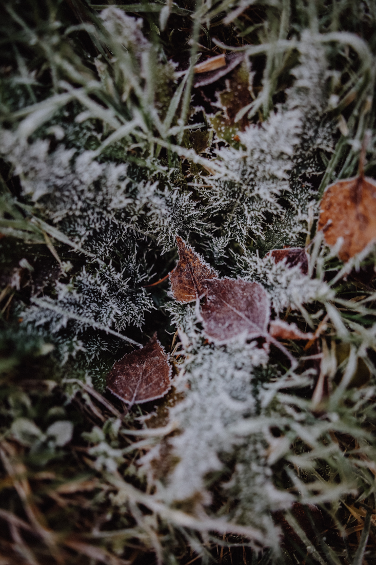 Wandern Erzgebirge Schwarzwassertal