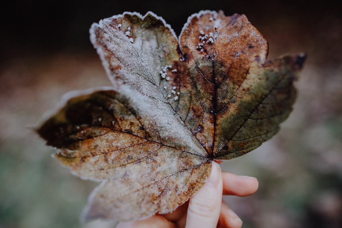 Wandern Erzgebirge Schwarzwassertal