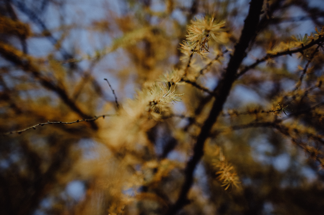 Wandern Erzgebirge Schwarzwassertal