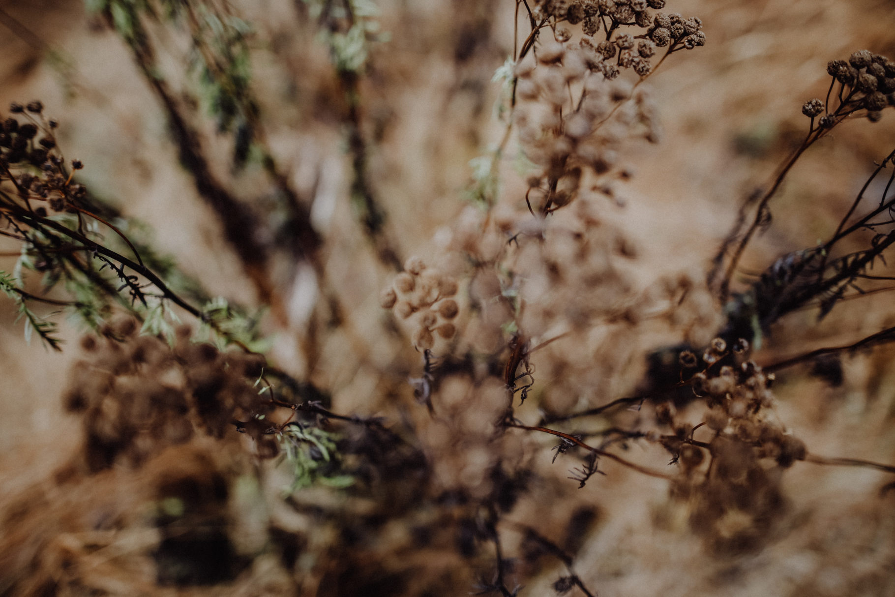 Wandern Erzgebirge Schwarzwassertal