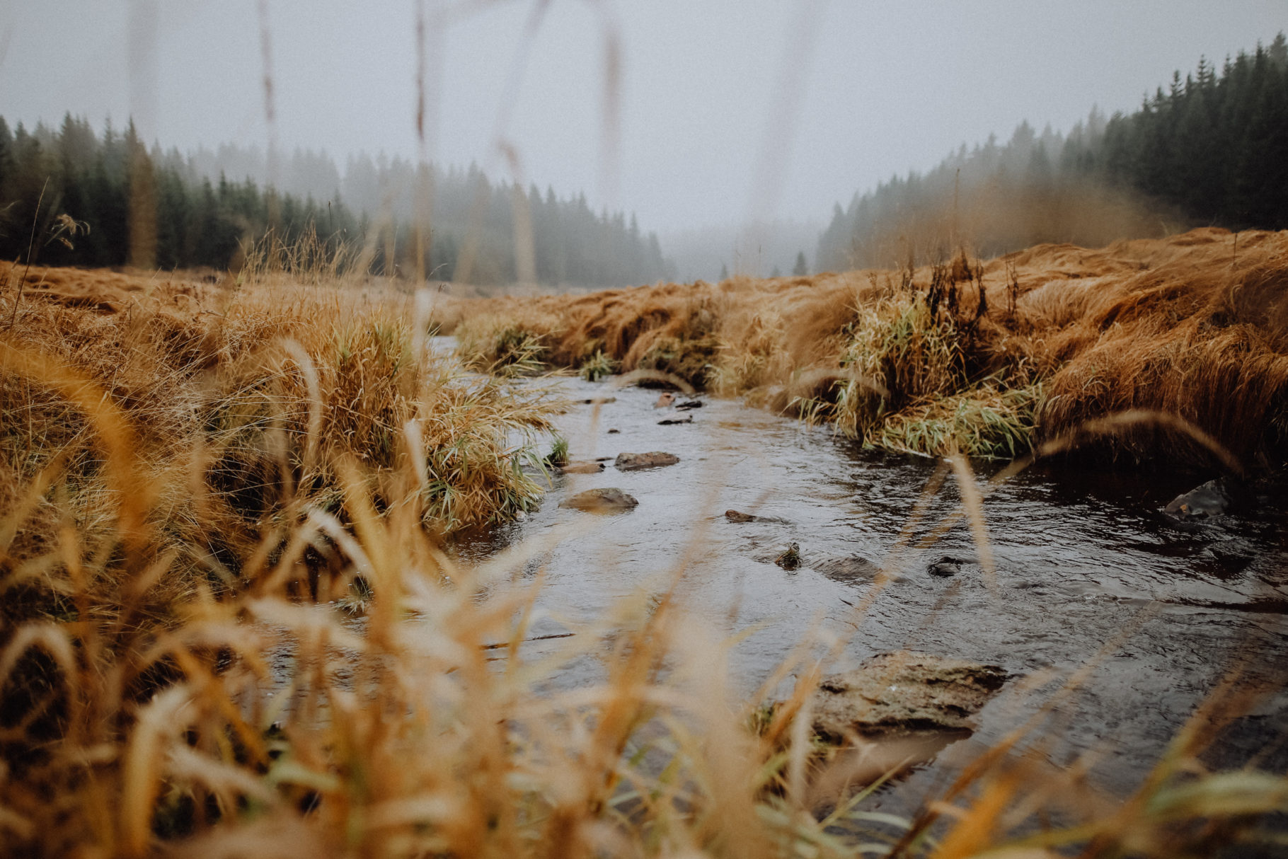 Wandern Erzgebirge Schwarzwassertal