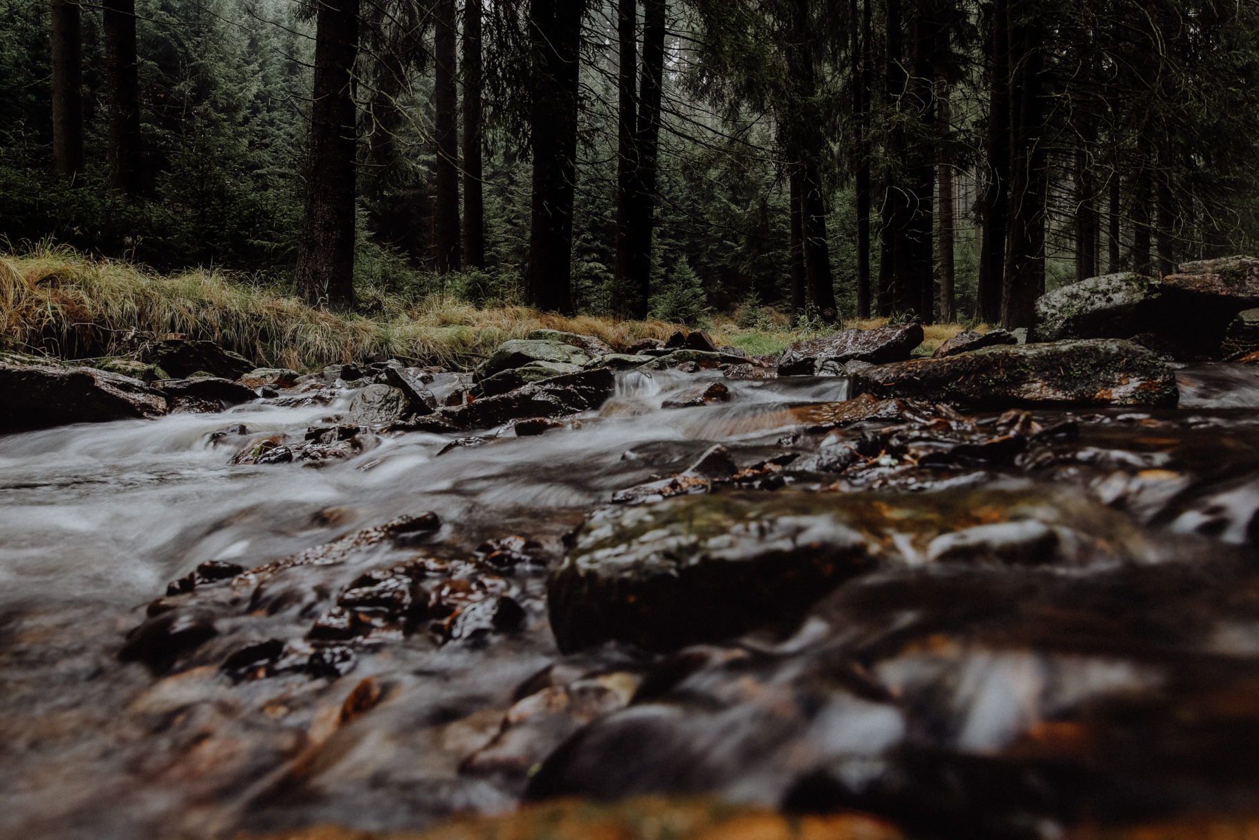 Wandern Erzgebirge Schwarzwassertal
