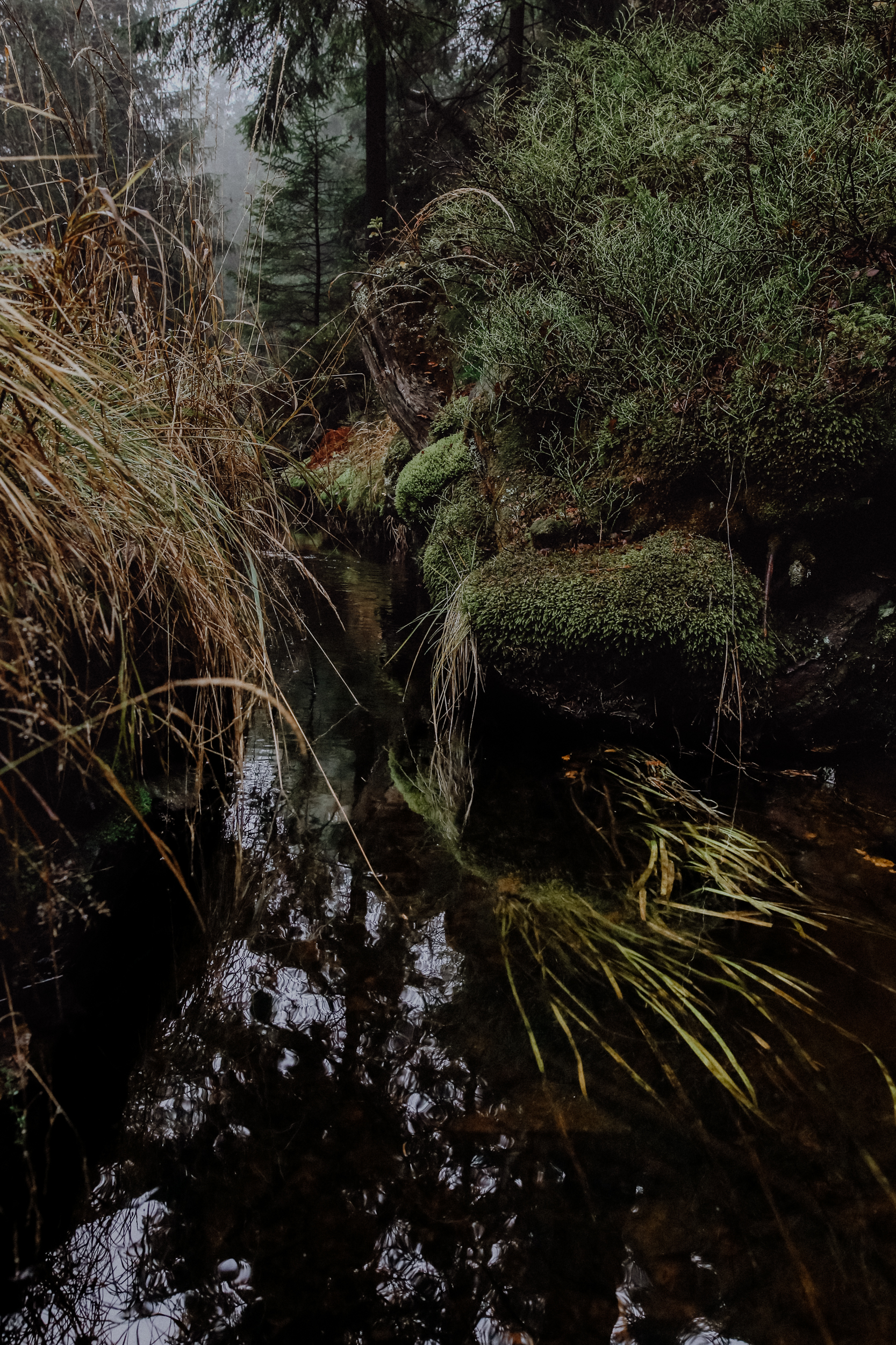 Wandern Erzgebirge Schwarzwassertal