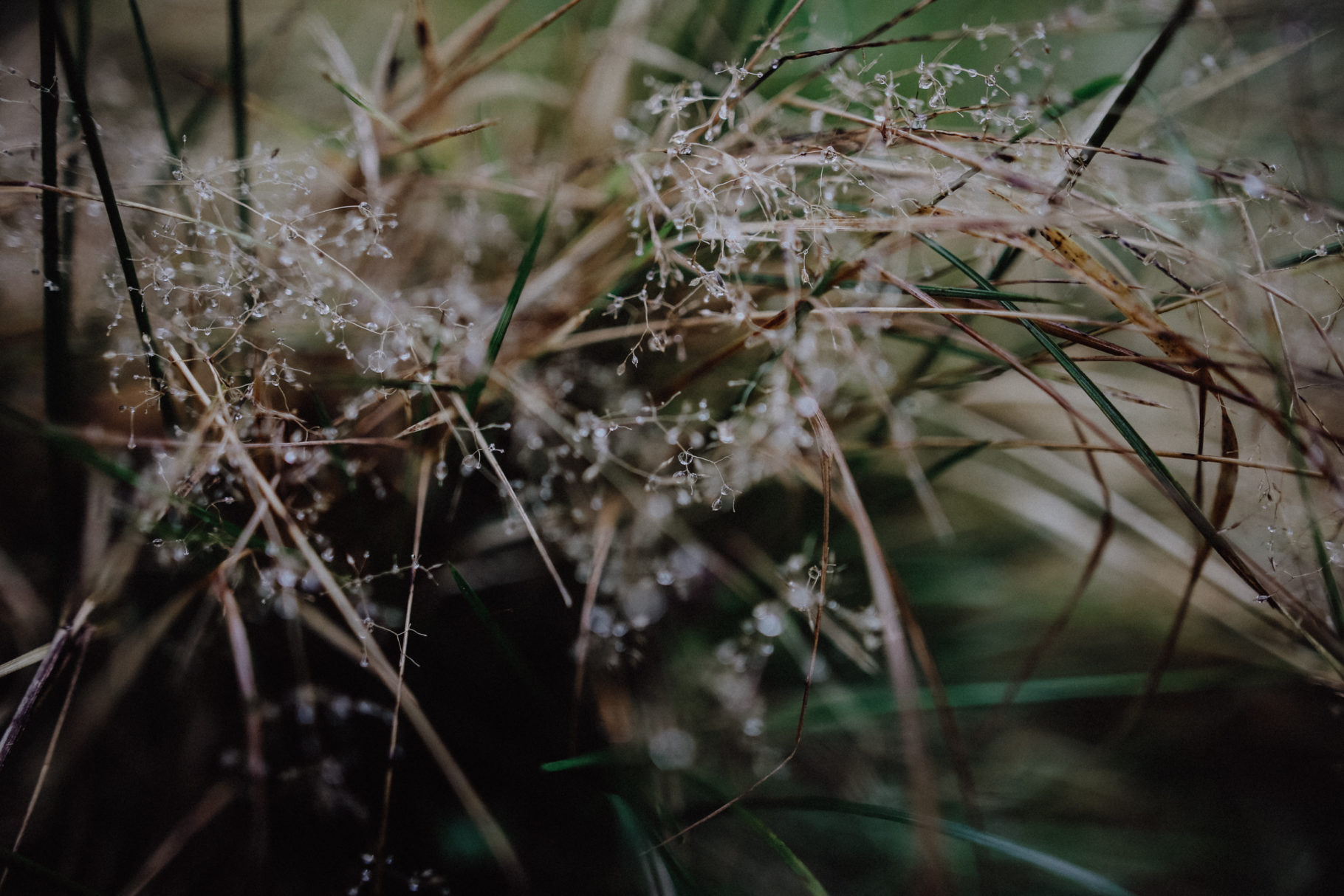 Wandern Erzgebirge Schwarzwassertal