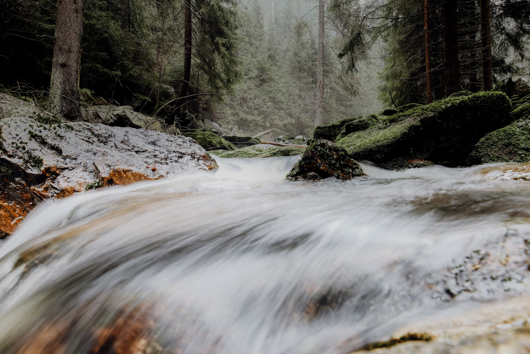 Wandern Erzgebirge Schwarzwassertal