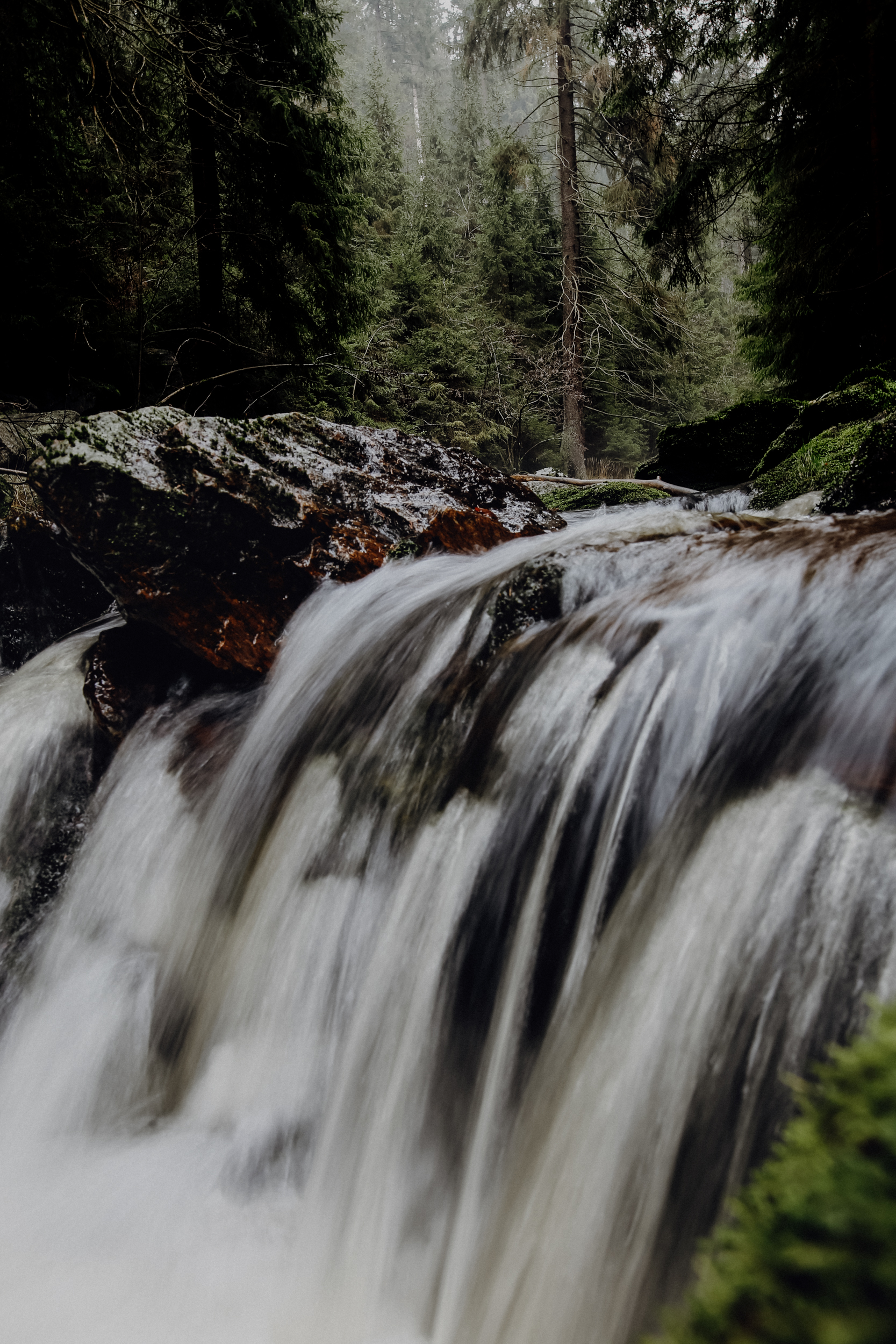 Wandern Erzgebirge Schwarzwassertal
