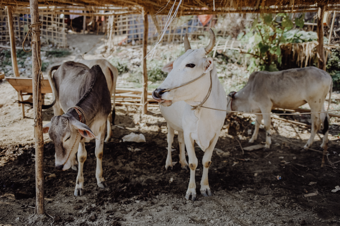Mandalay Ausflug Mingun