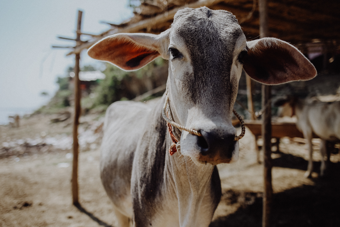 Mandalay Ausflug Mingun