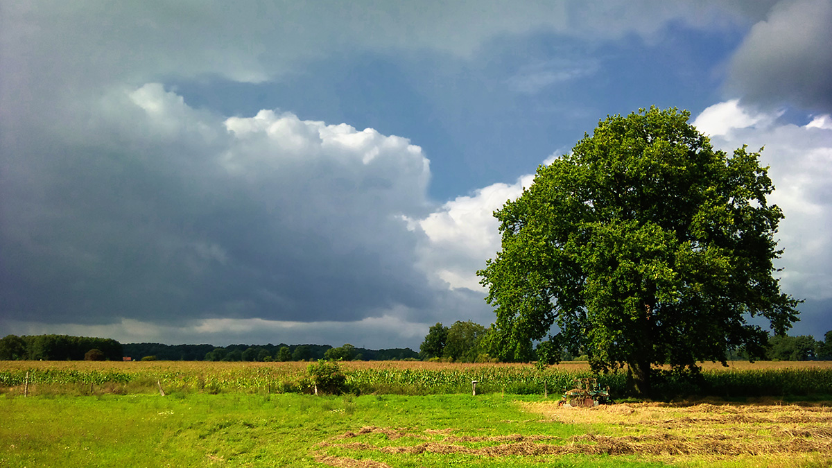 Fernwanderwege Deutschland Wunderblutweg
