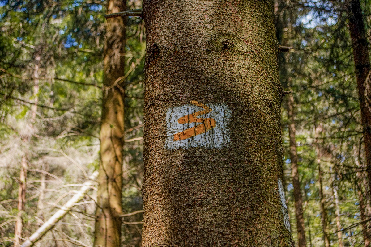 Fernwanderwege Deutschland Goldsteig