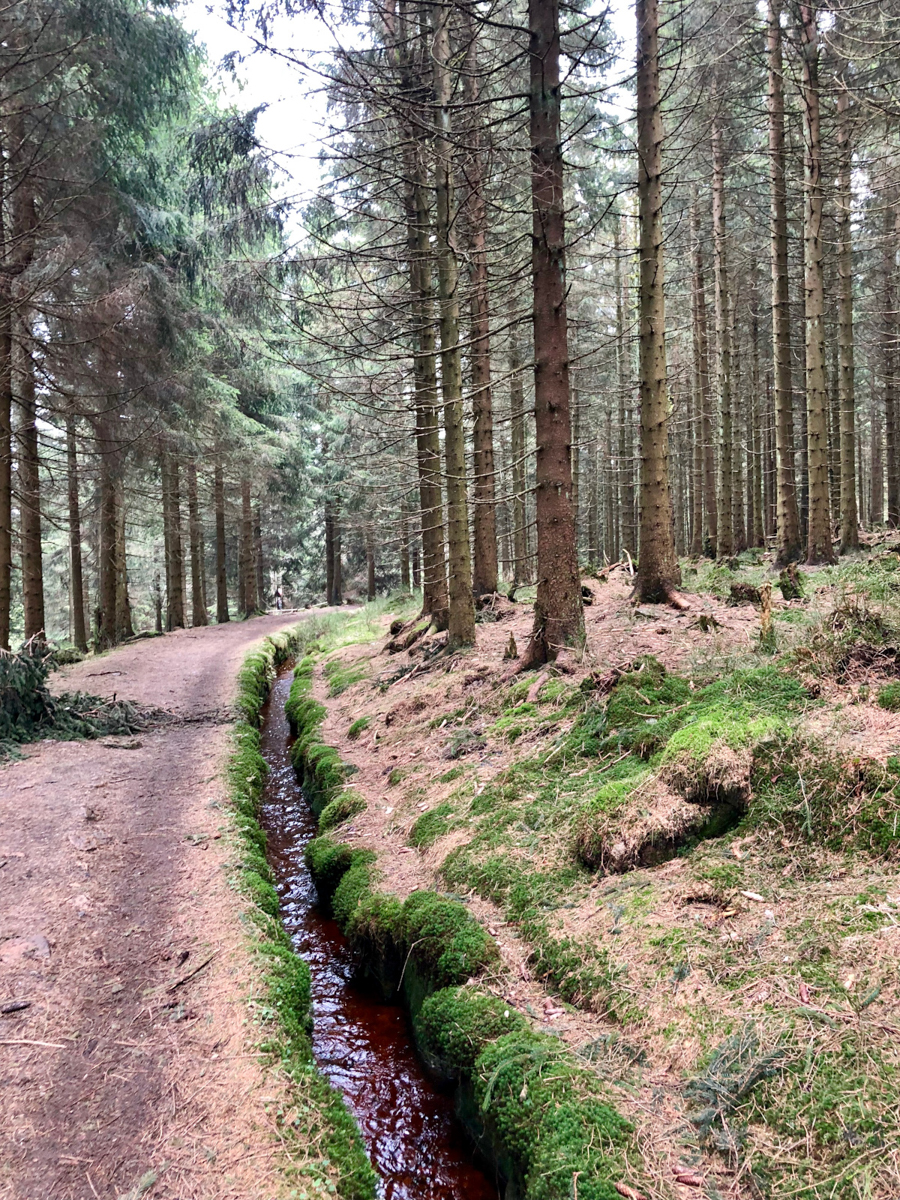Fernwanderwege Deutschland Hexen-Stieg