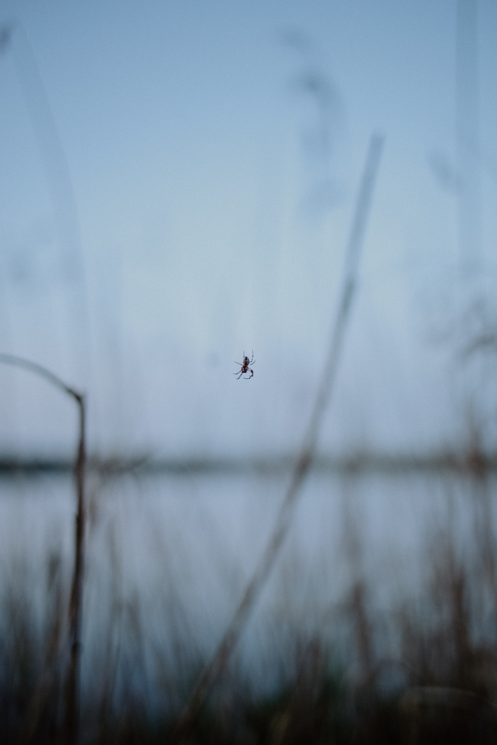 Paddeltour Spreewald Luckau