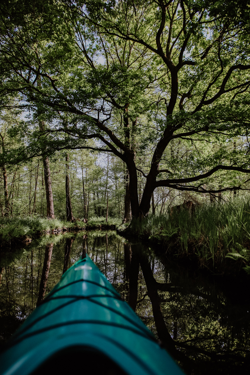 Paddeltour Spreewald