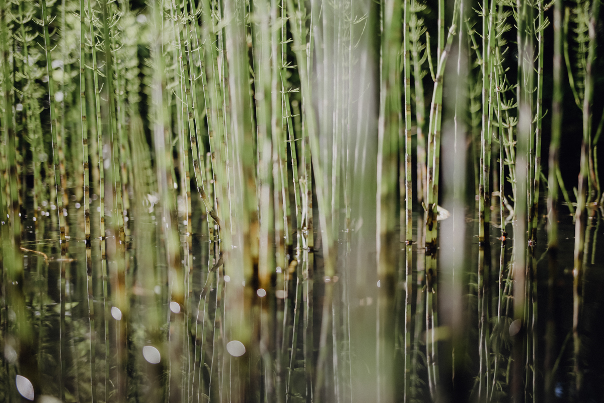 Paddeltour Spreewald