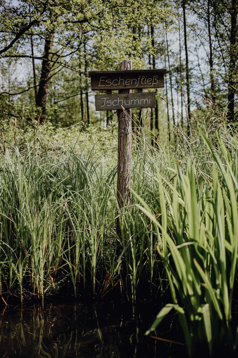Paddeltour Spreewald