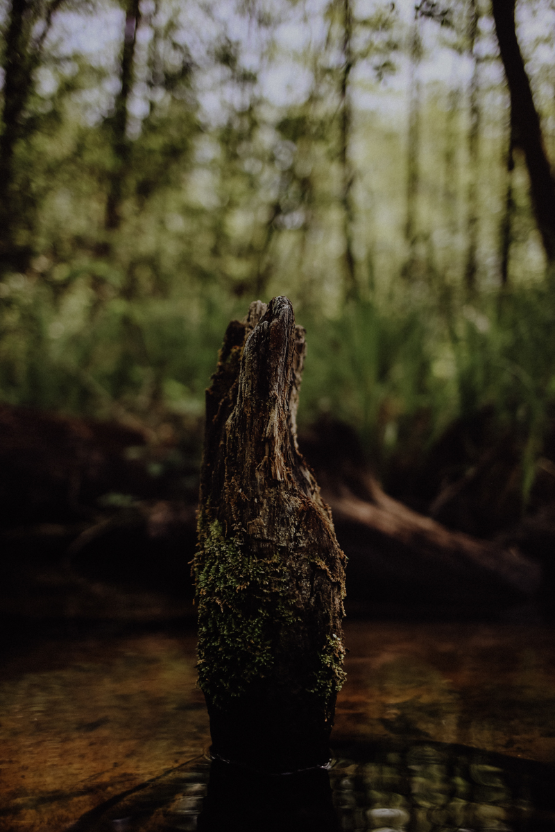 Paddeltour Spreewald