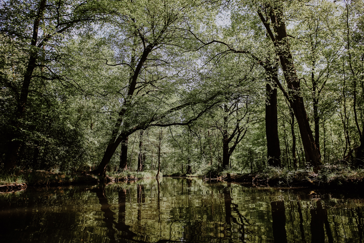 Paddeltour Spreewald
