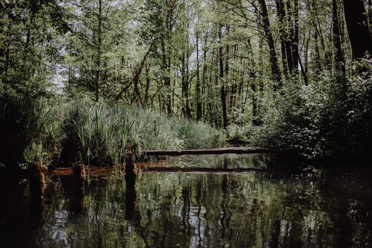 Paddeltour Spreewald