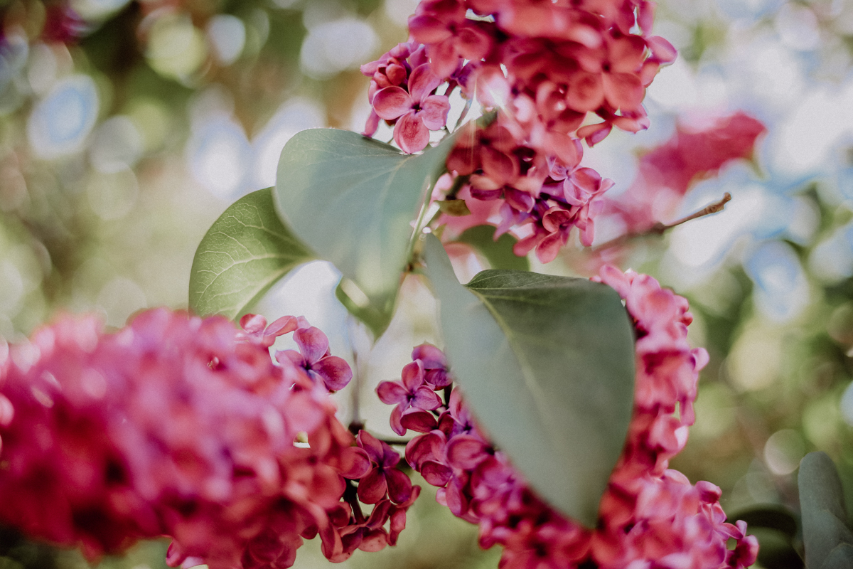 Fläming Wandern Kunstwanderweg