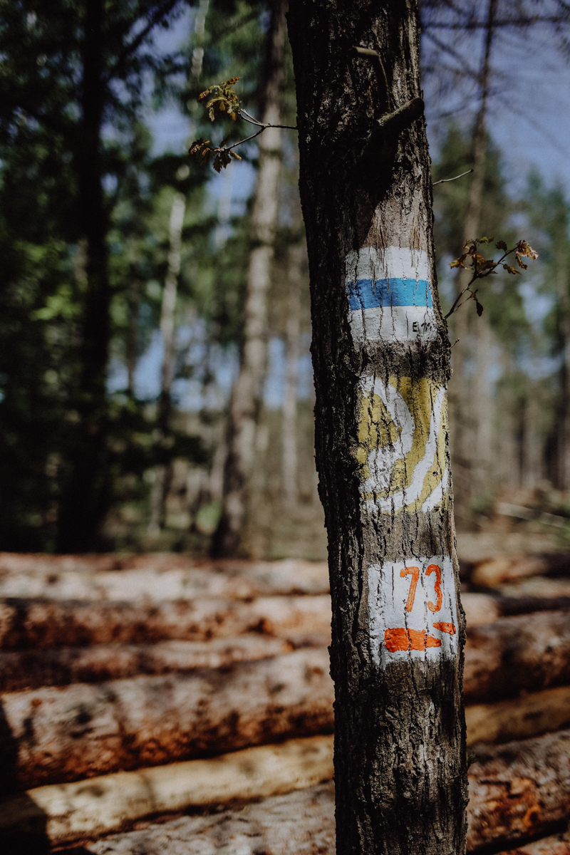 Fläming Wandern Kunstwanderweg