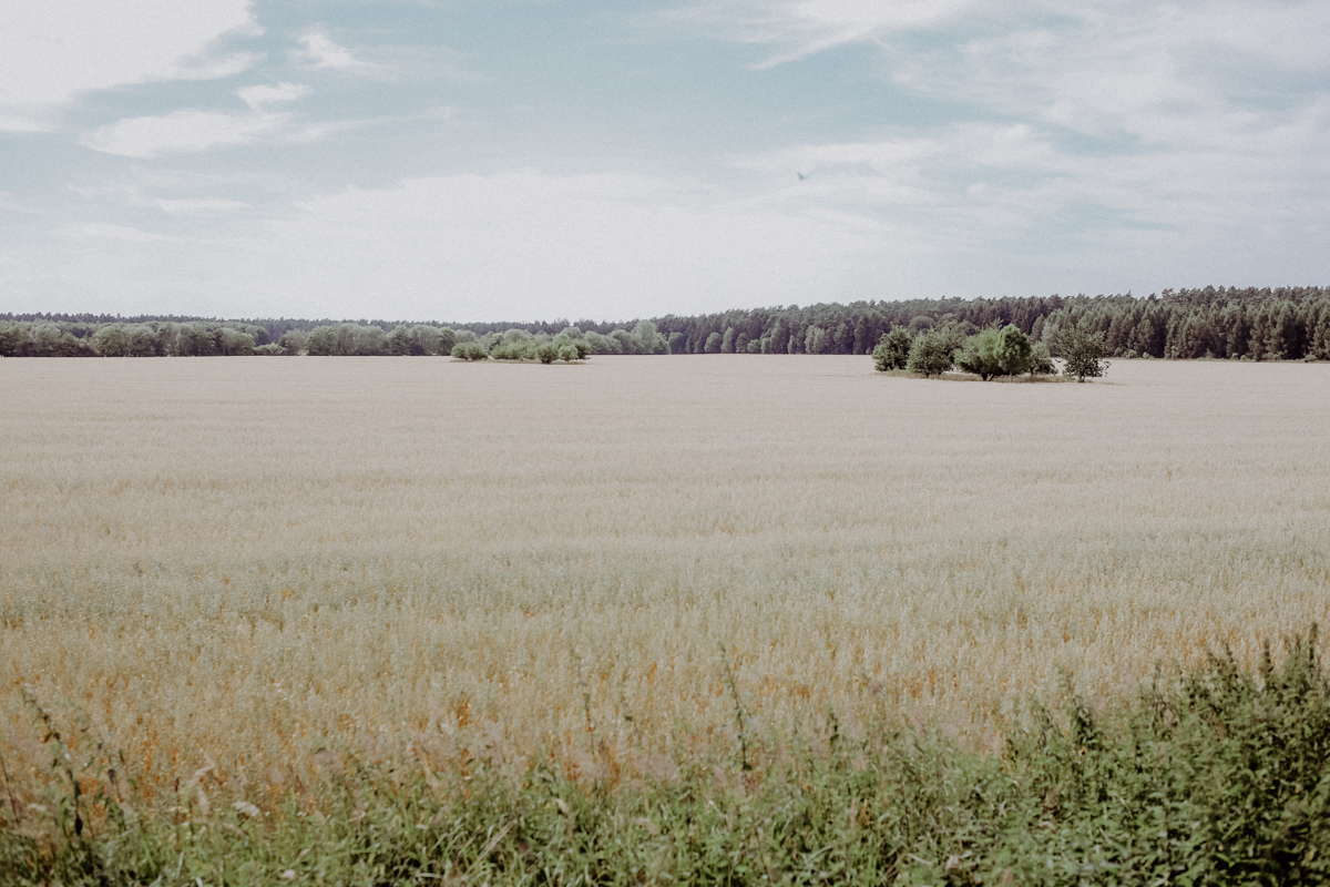 Fläming Gut Schmerwitz