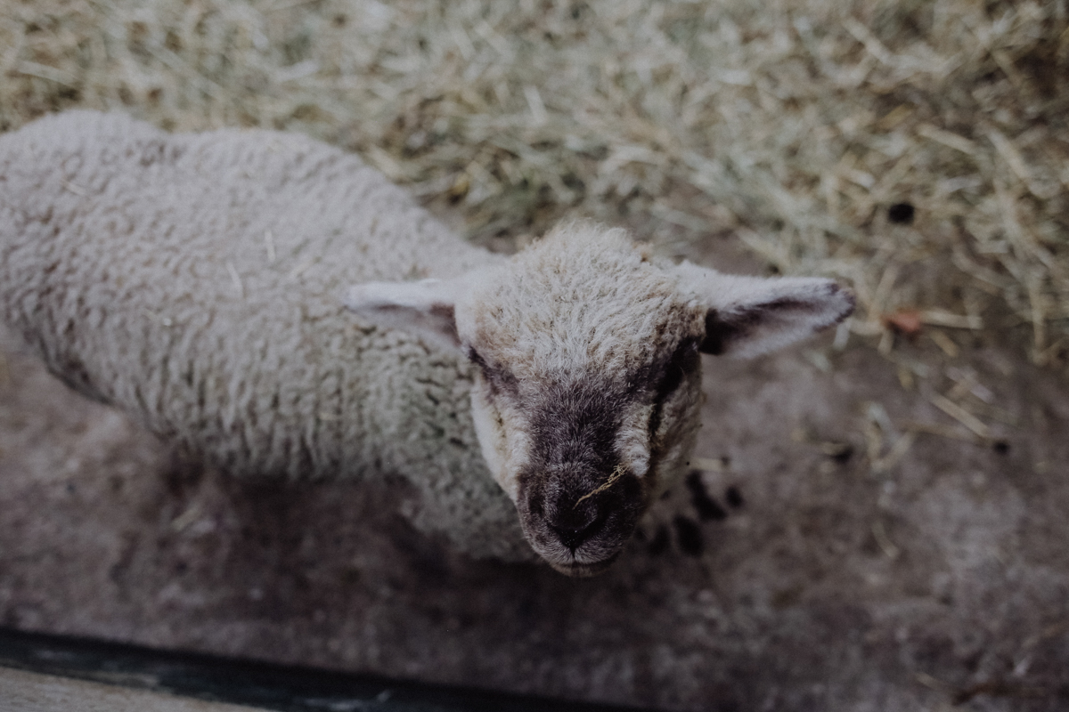 Fläming Gut Schmerwitz