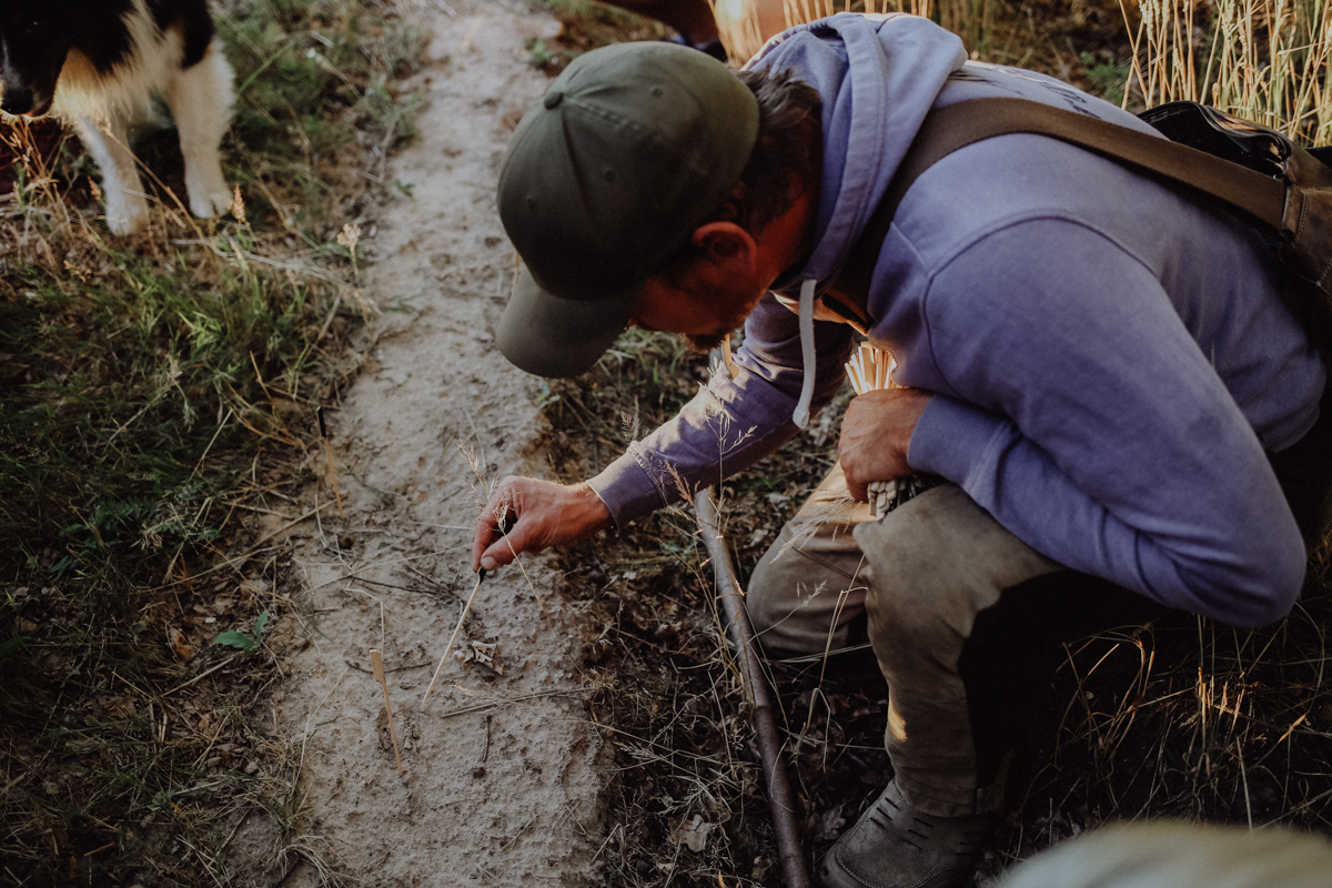 Fläming Hagelberg Wildnisschule Natur
